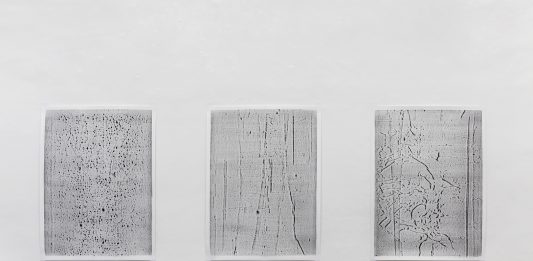 Stuart Ringholt mette in discussione l’immagine e la nostra capacità di leggerla