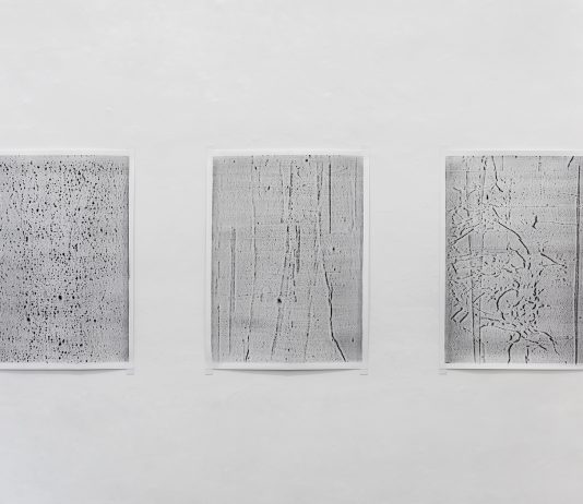 Stuart Ringholt mette in discussione l’immagine e la nostra capacità di leggerla