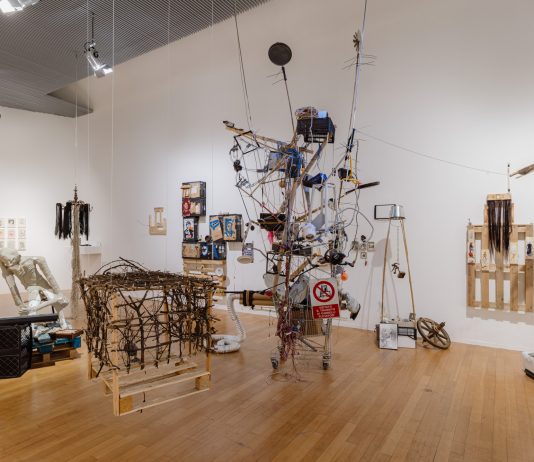 Una ricognizione della scena contemporanea indiana in mostra al PAC di Milano india pac