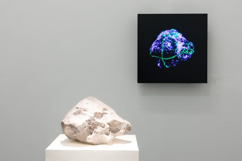 Agnieszka Kurant, Variontology, veduta della mostra, Galleria Lia Rumma, Napoli