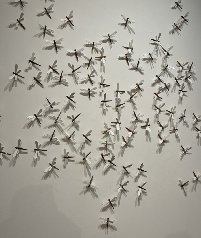 libellule Silvia Scaringella, Deus sive natura, veduta della mostra, Museo Carlo Bilotti, Roma