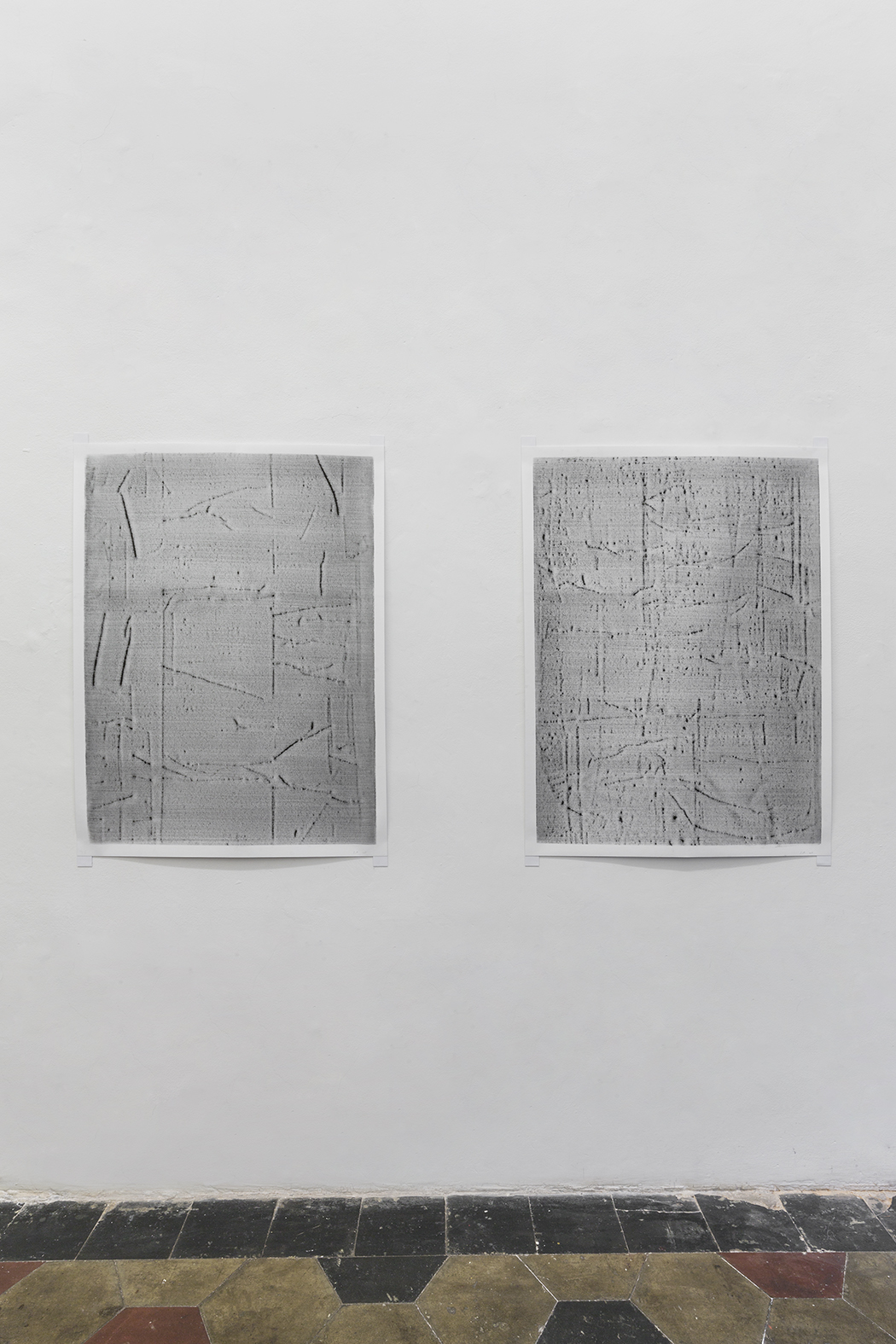 Stuart Ringholt immagini