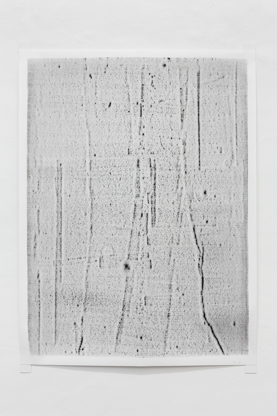 Stuart Ringholt immagini