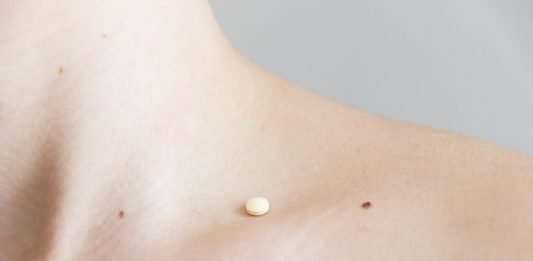 Bologna Art Week 2026: gli appuntamenti da non perdere oggi, attraversando il centro bologna art week appuntamenti oggi