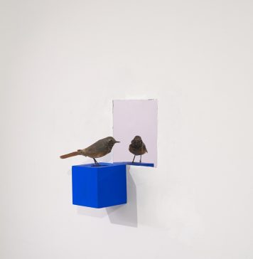 Bologna Art Week 2026: le mostre e gli appuntamenti dell’ultima giornata