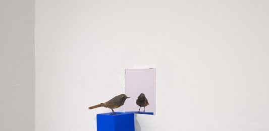 Bologna Art Week 2026: le mostre e gli appuntamenti dell’ultima giornata