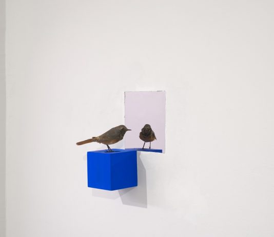 Bologna Art Week 2026: le mostre e gli appuntamenti dell’ultima giornata