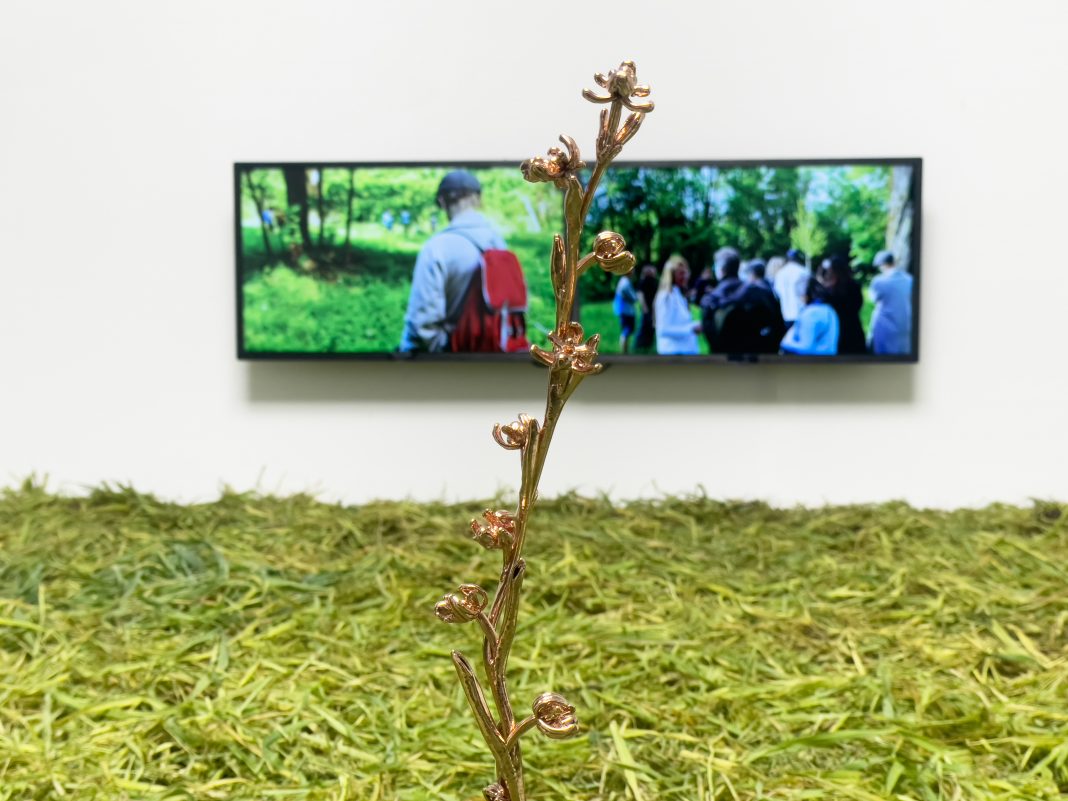 03 Segnasfalcio Estranee_SofiaBasso Silvia Cini, Segnasfalcio Estranee, veduta della mostra, Sinantropico, Fondazione Baruchello, Roma, ph. Sofia Basso