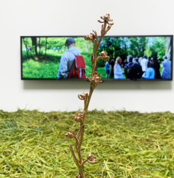 Il paesaggio come superorganismo: Silvia Cini dialoga con Baruchello