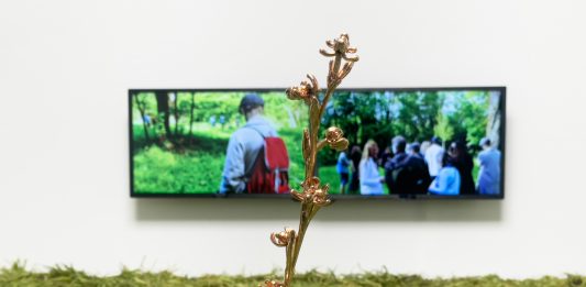 Il paesaggio come superorganismo: Silvia Cini dialoga con Baruchello Silvia Cini, Segnasfalcio Estranee, veduta della mostra, Sinantropico, Fondazione Baruchello, Roma, ph. Sofia Basso