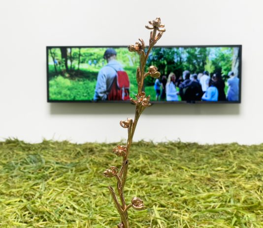Il paesaggio come superorganismo: Silvia Cini dialoga con Baruchello Silvia Cini, Segnasfalcio Estranee, veduta della mostra, Sinantropico, Fondazione Baruchello, Roma, ph. Sofia Basso