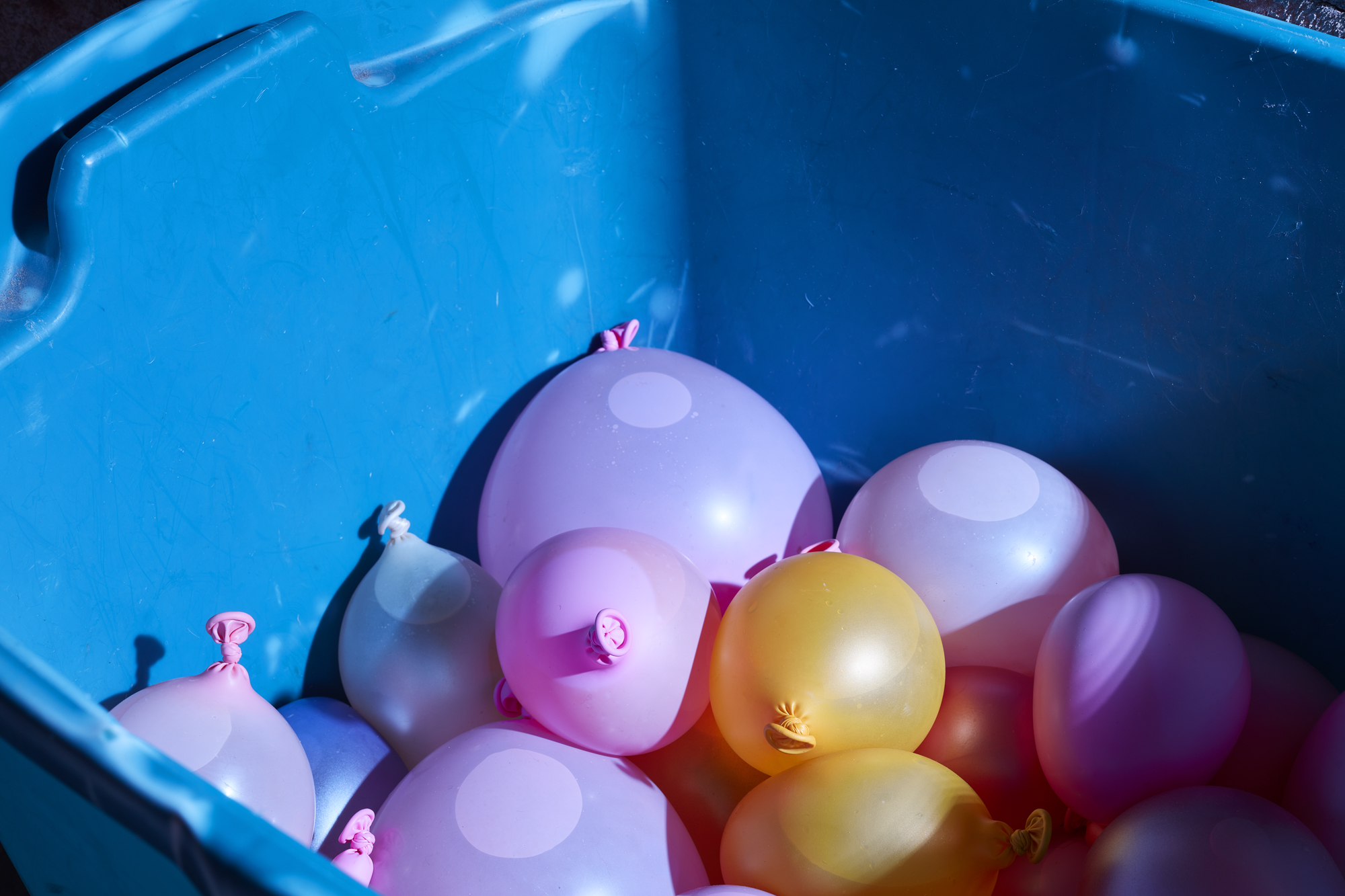 bologna art appuntamenti oggi