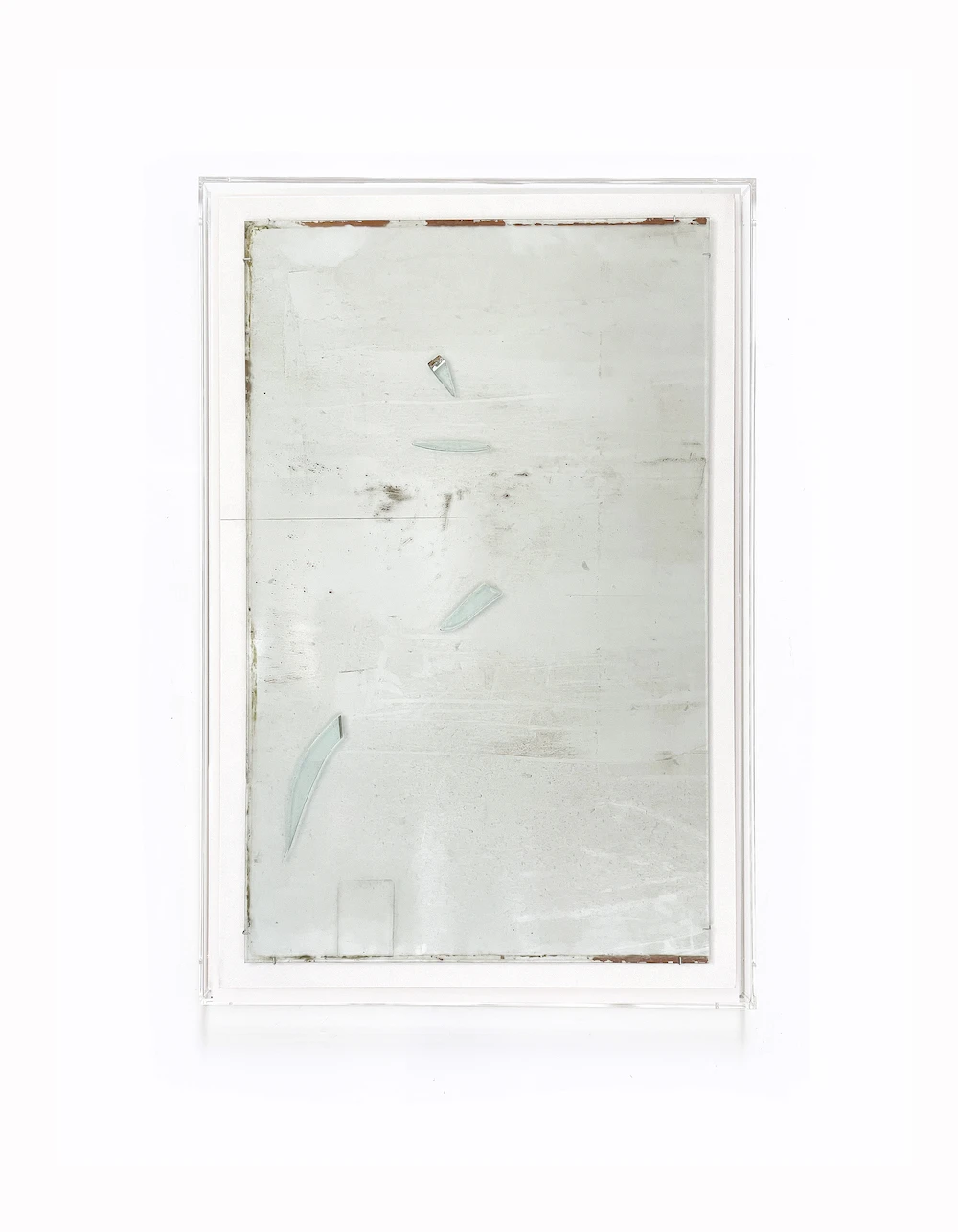 bologna art 2026 mostre