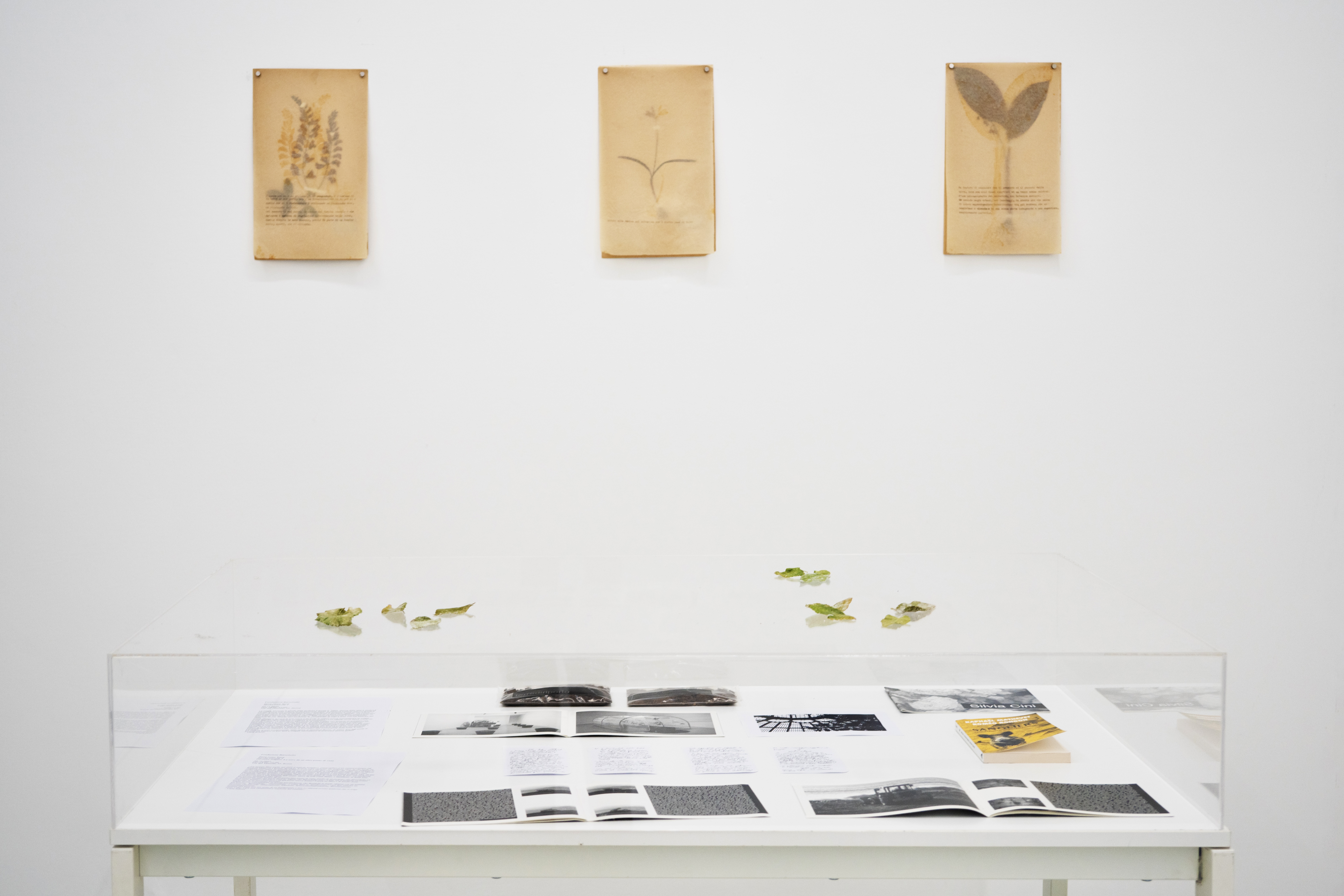 Silvia Cini, veduta della mostra, Sinantropico, Fondazione Baruchello, Roma, ph. Sofia Basso