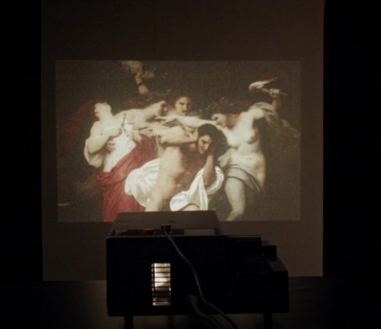 Sette opere sul rapporto tra corpo e conoscenza, nelle sedi dell’Università di Bologna