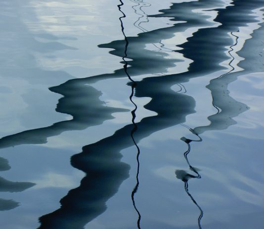 Fotografia oltre l’immagine: la visione astratta di Danilo Susi