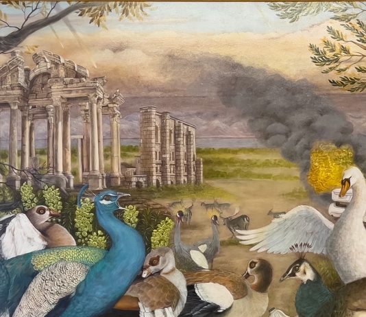 Biennale Arte 2026, il Pakistan torna a Venezia con un progetto sul Punjab