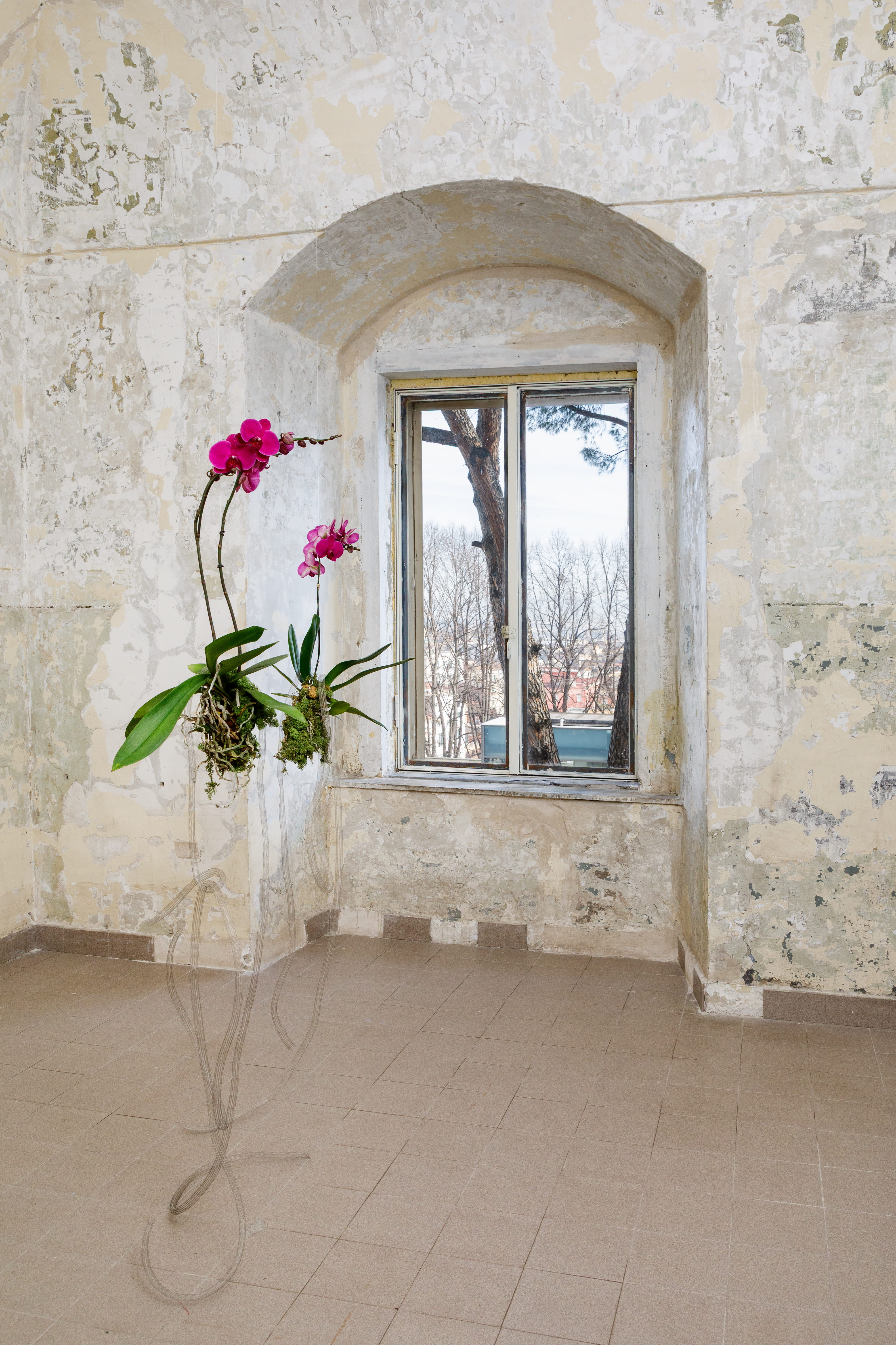 Pennacchio Argentato, Walking Backwards into Tomorrow, 2026, veduta della mostra, La Santissima, Community Hub, courtesy the artists and Collezione Agovino, ph. Danilo Donzelli