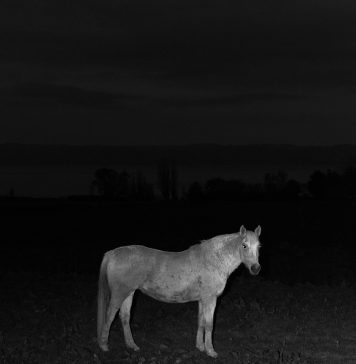 Other Identity #192, altre forme di identità culturali e pubbliche: Gian Marco Sanna