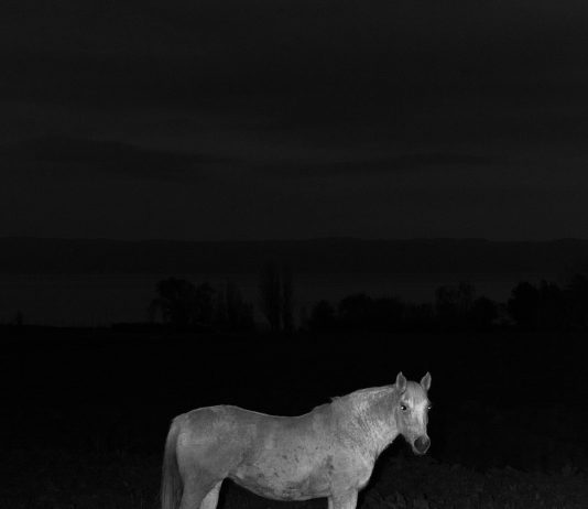 Other Identity #192, altre forme di identità culturali e pubbliche: Gian Marco Sanna