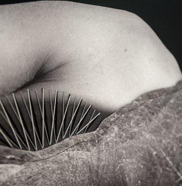 Scoprire l’altro con delicatezza, nelle immagini sensoriali di Betty Salluce