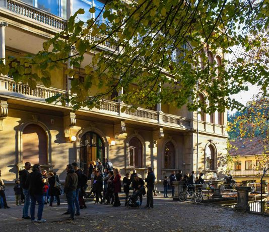 Torino, da Flashback Habitat quattro talk su arte, critica e mercato