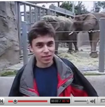 Il Victoria and Albert Museum di Londra acquista il primo video caricato su YouTube