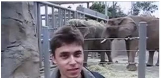 Il Victoria and Albert Museum di Londra acquista il primo video caricato su YouTube