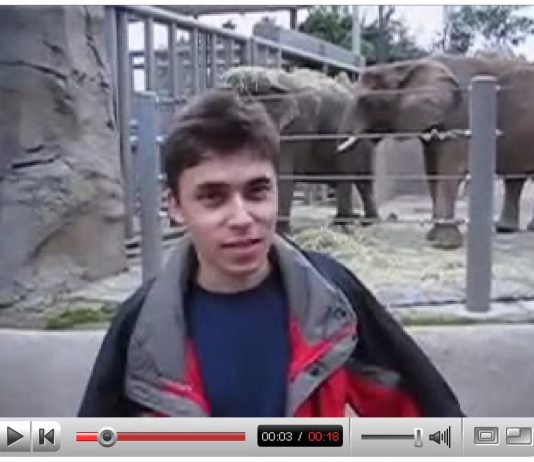 Il Victoria and Albert Museum di Londra acquista il primo video caricato su YouTube