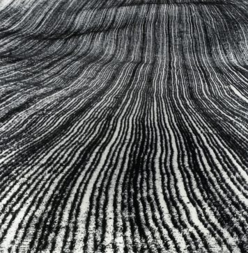 90 anni di fotografia italiana e non solo, in bianco e nero: la mostra a The Pool di Milano