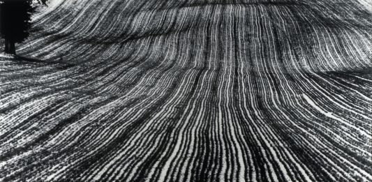 90 anni di fotografia italiana e non solo, in bianco e nero: la mostra a The Pool di Milano