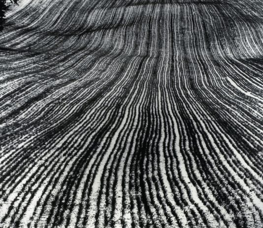 90 anni di fotografia italiana e non solo, in bianco e nero: la mostra a The Pool di Milano