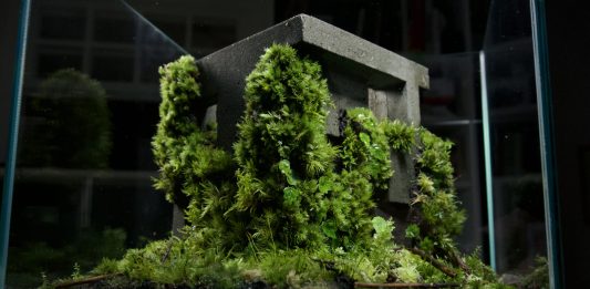 Tre installazioni sugli immaginari contemporanei, da Dolfi7 di Open Project a Bologna