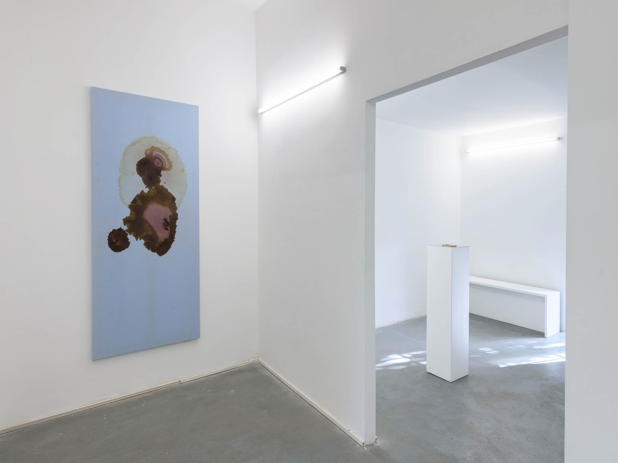 Lucia Tkáčová opere 