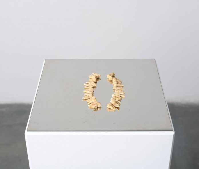 Lucia Tkáčová opere