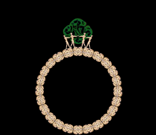 La Venere violata e il Martirio del mare: per Mataro da Vergato il corpo è un campo politico