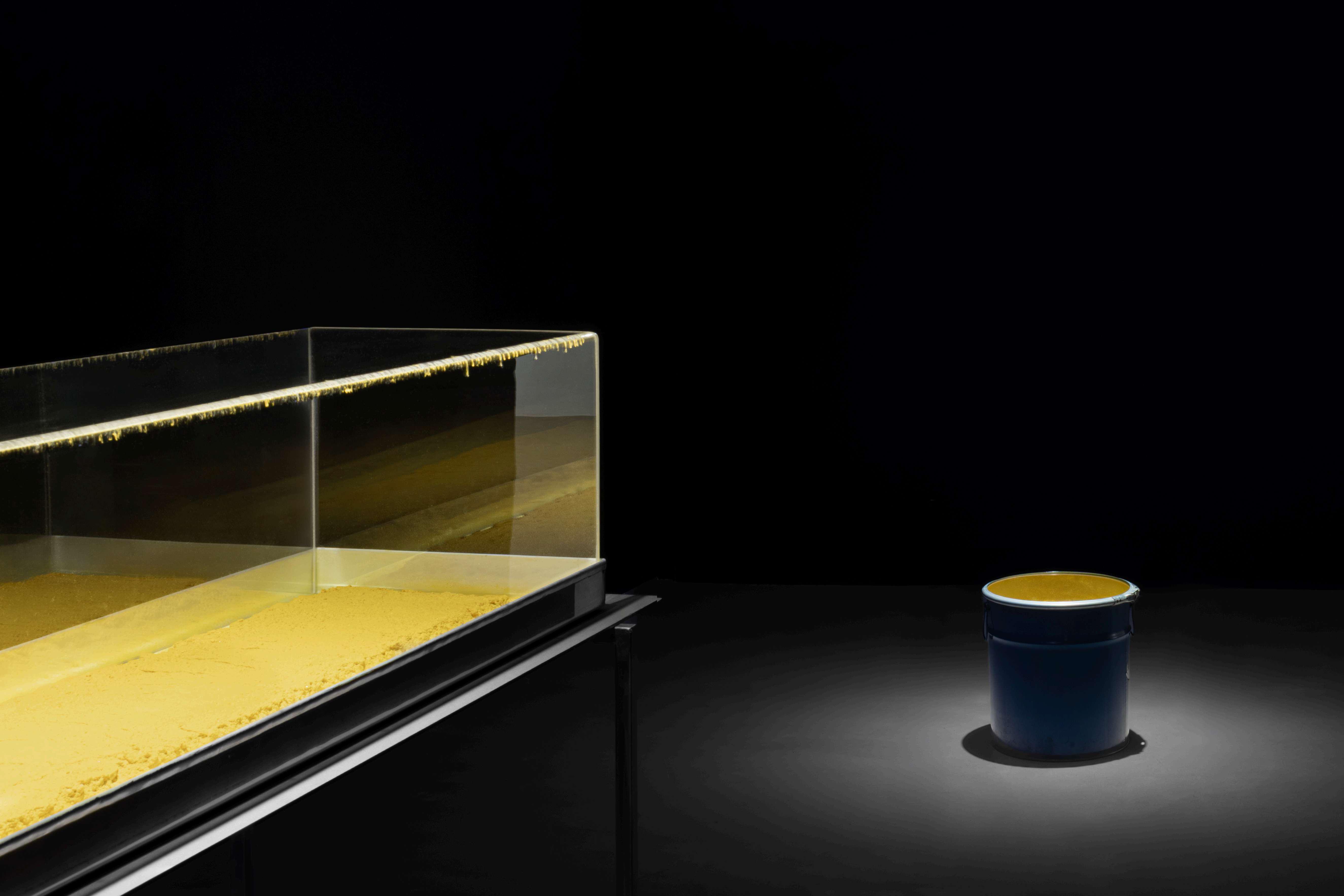 YELLOWSAKE - giallocanarino, Fabio Marullo, 2026, Courtesy ArtNoble Gallery