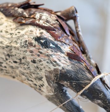 Pratiche condivise nel Salento: conclusa la residenza artistica di Red Lab