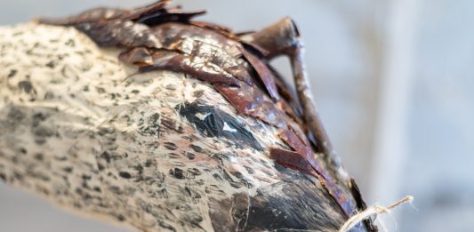 Pratiche condivise nel Salento: conclusa la residenza artistica di Red Lab