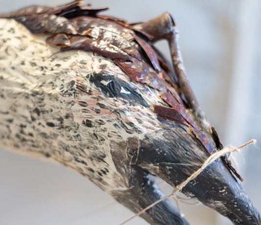 Arte condivisa nel Salento: conclusa la residenza artistica di Red Lab