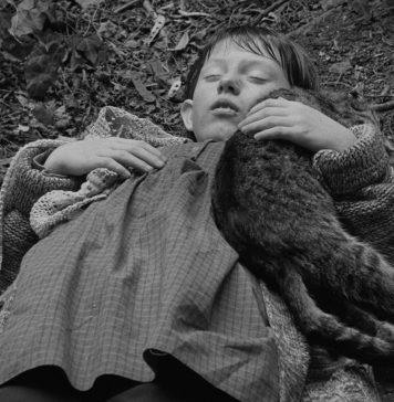 I film di Béla Tarr tornano al cinema: al via la retrospettiva restaurata