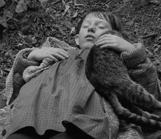 I film di Béla Tarr tornano al cinema: al via la retrospettiva restaurata