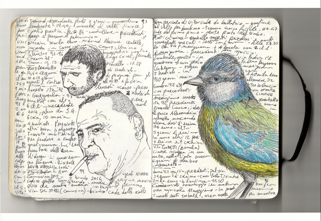 Me l'ha detto un uccellino - Inchiostro e matita