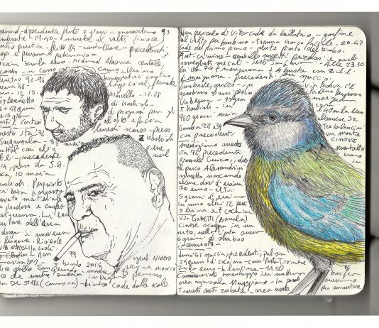 Manuale per disegnare sulla scena del crimine: intervista a Salvatore Garzillo