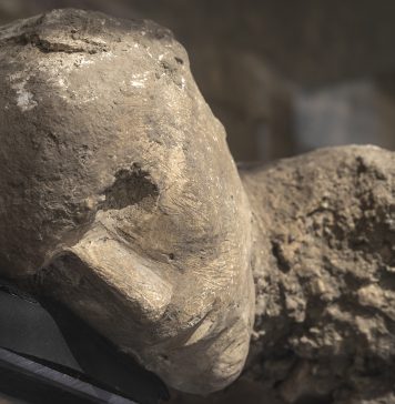 A Pompei un nuovo allestimento racconta la storia dei calchi delle vittime dell’eruzione