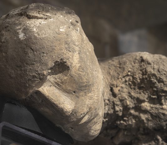 A Pompei un nuovo allestimento racconta la storia dei calchi delle vittime dell’eruzione