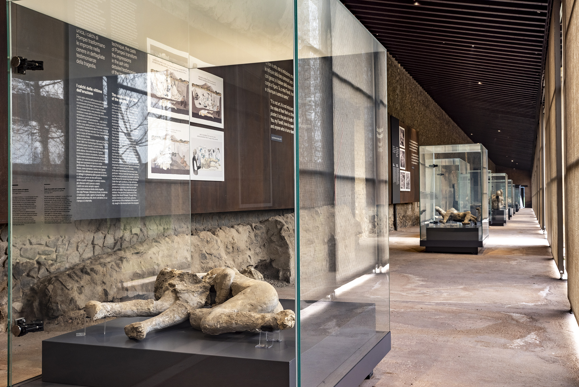 pompei allestimento calchi