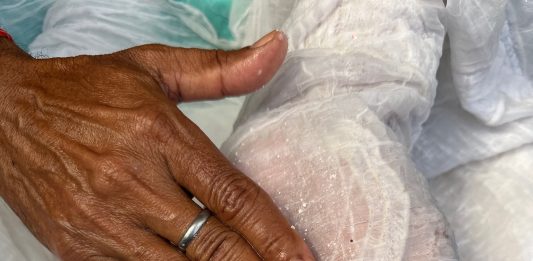 Cinque artisti per raccontare l’India alla Biennale: intervista al curatore Amin Jaffer