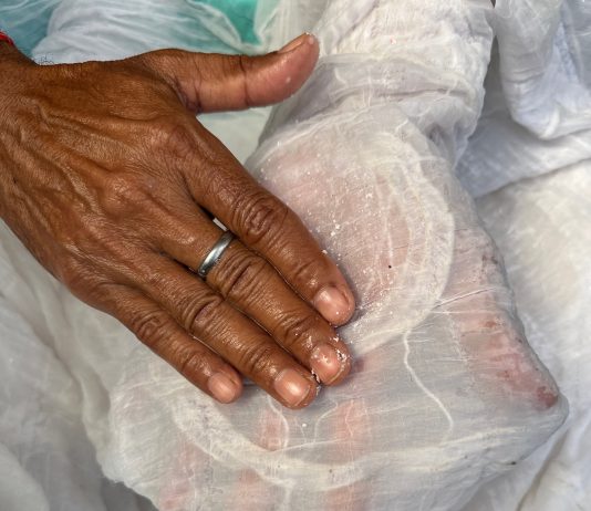 Cinque artisti per raccontare l’India alla Biennale: intervista al curatore Amin Jaffer