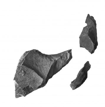 Nel suo ultimo libro-opera, Zaelia Bishop racconta le cose che succedono di notte